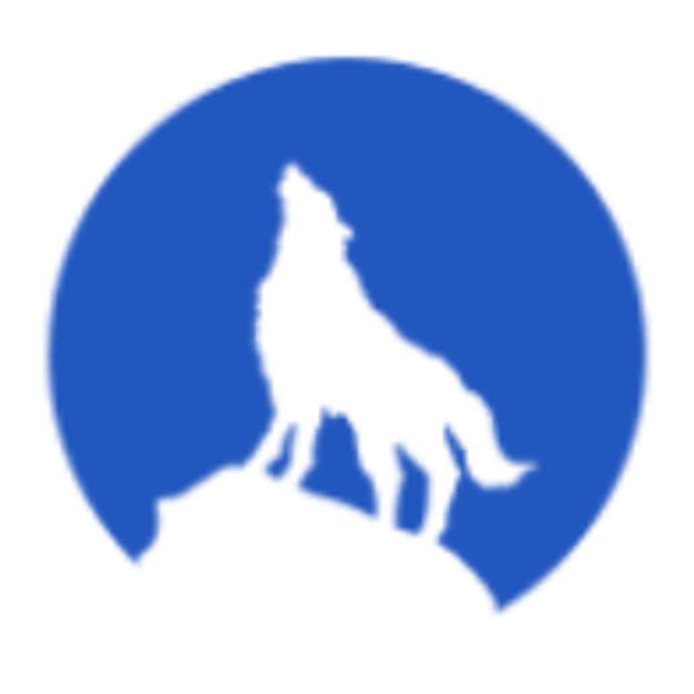 Blue Wolf Interactive