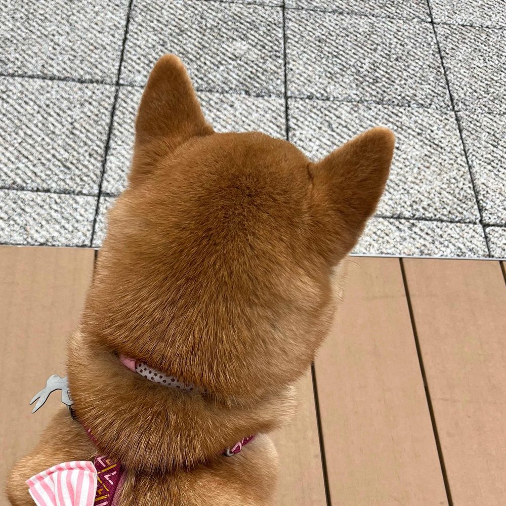 やっすん
