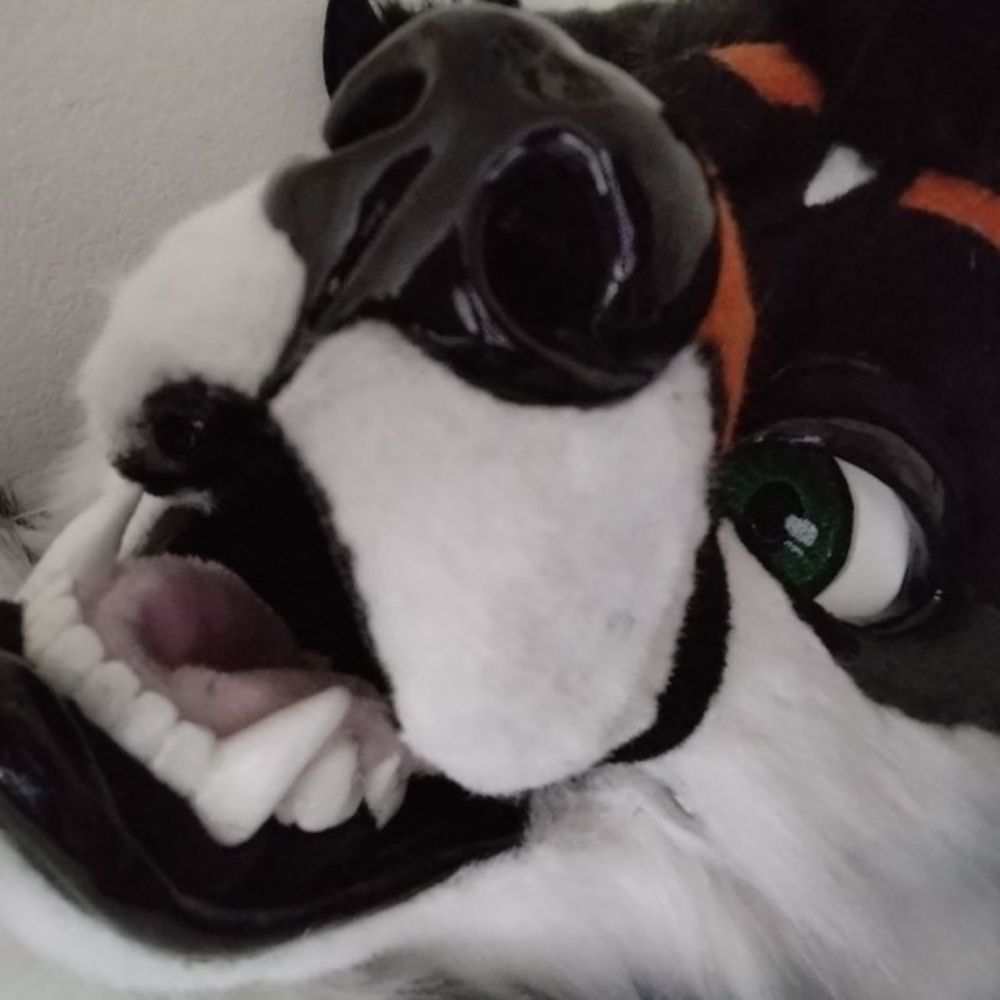 Profile picture leadpaw.bsky.social