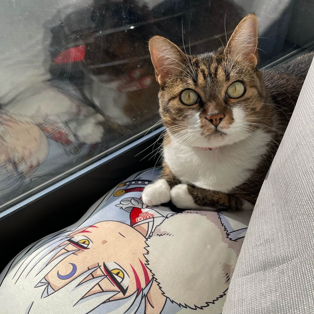 エバ