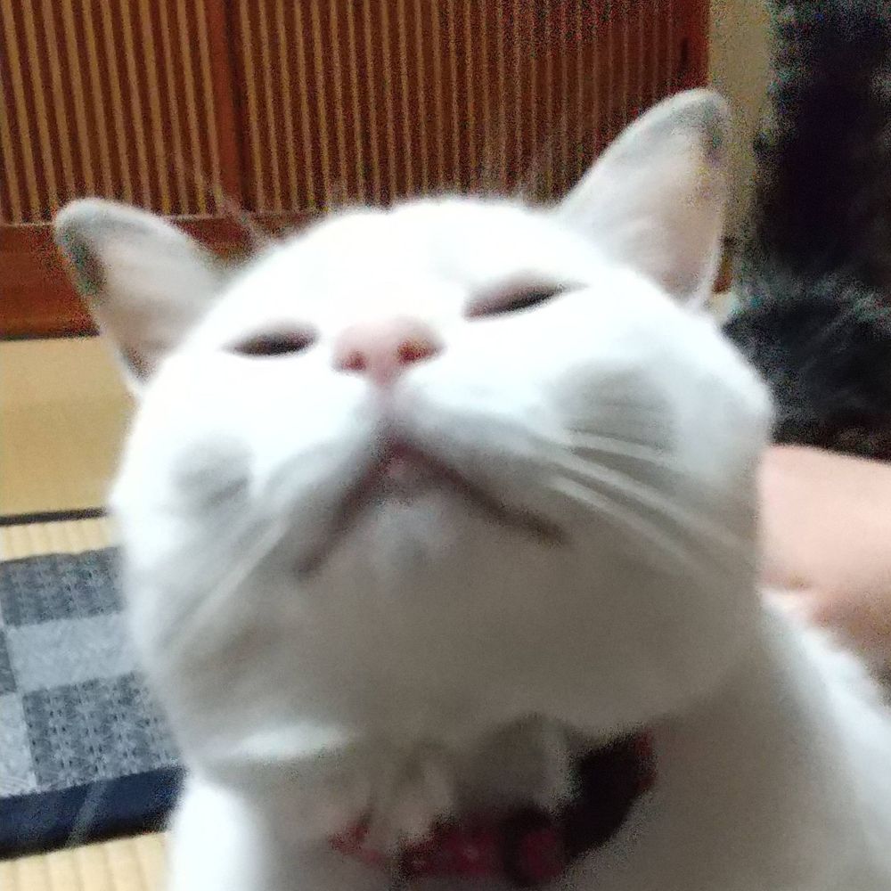 かづき