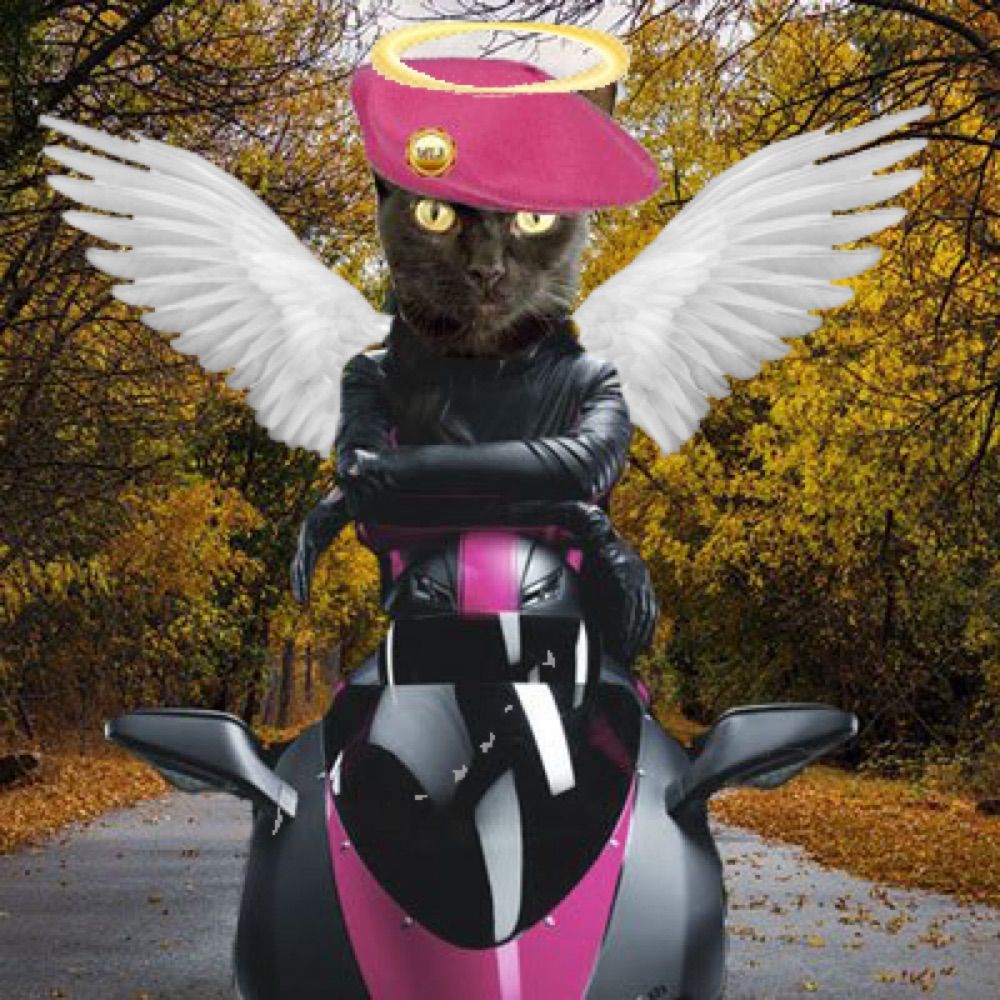 AngelMidnight