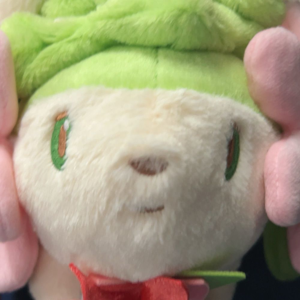 ぶし