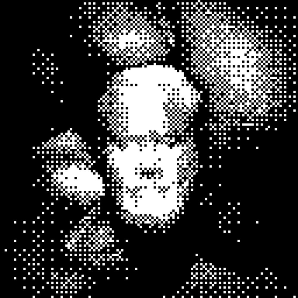 Luka → {protocell:labs} ←