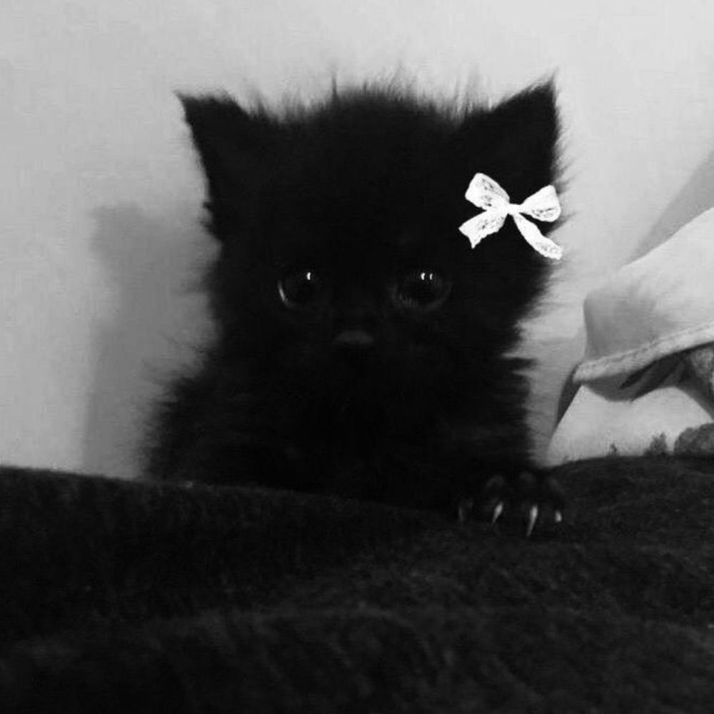 ~Malu ✨