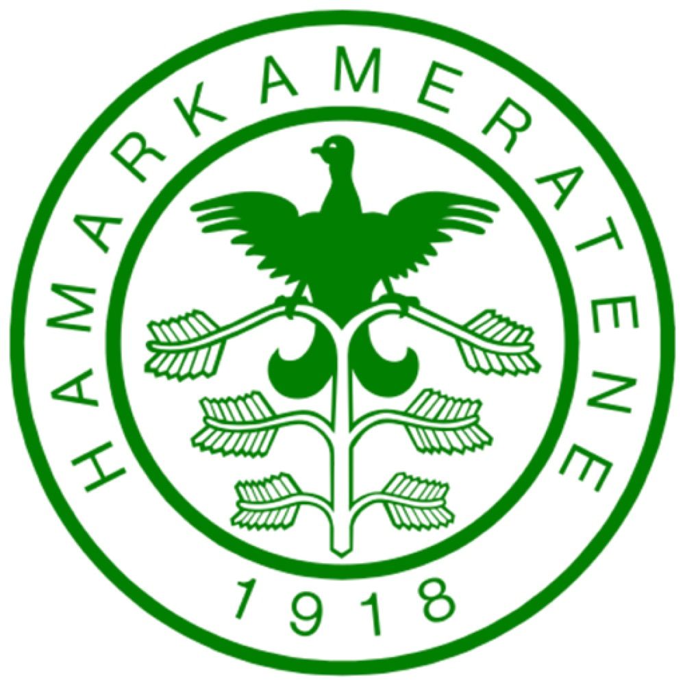 HamKam Fotball Elite