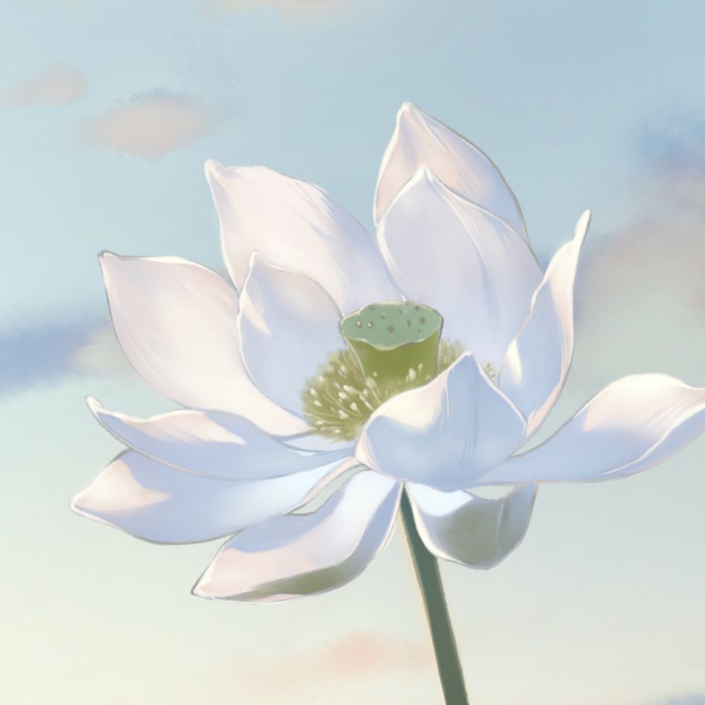 とう丸
