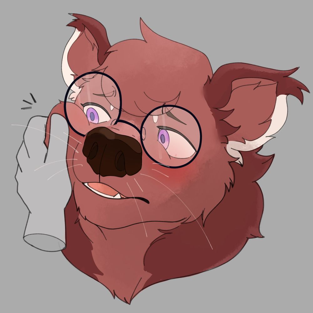 Bourbon 🐻😺