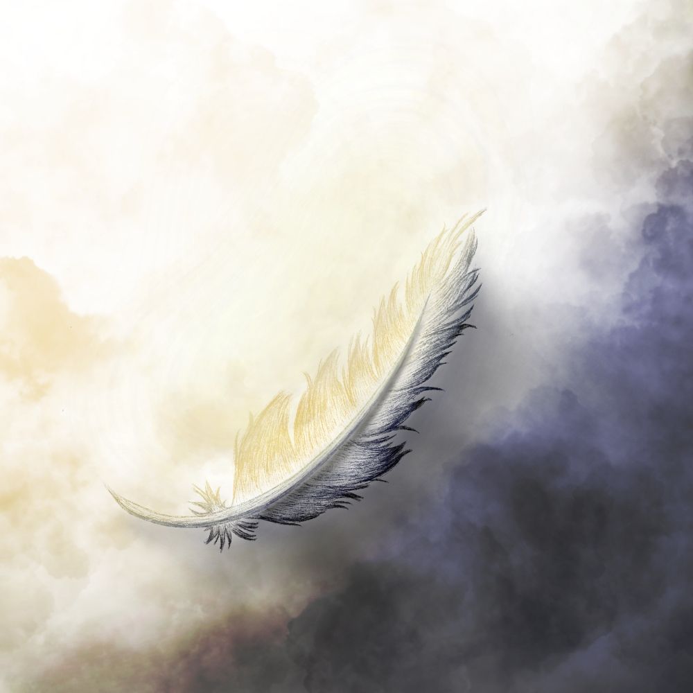 SilverFeather