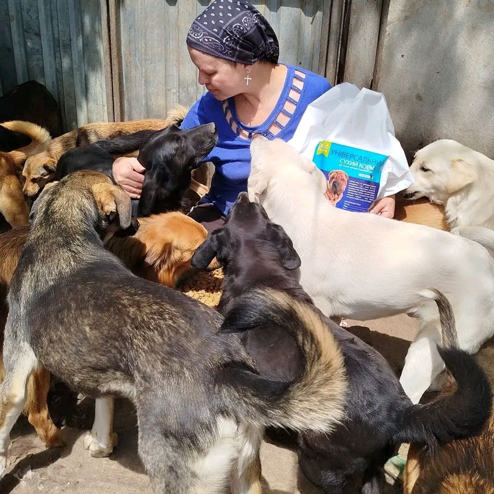 Animal shelter romania 🇷🇴