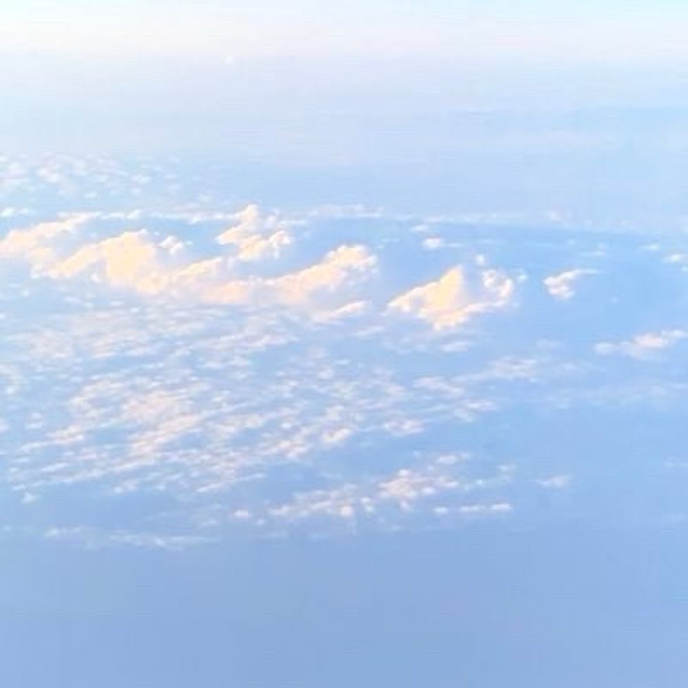 無責任の塊