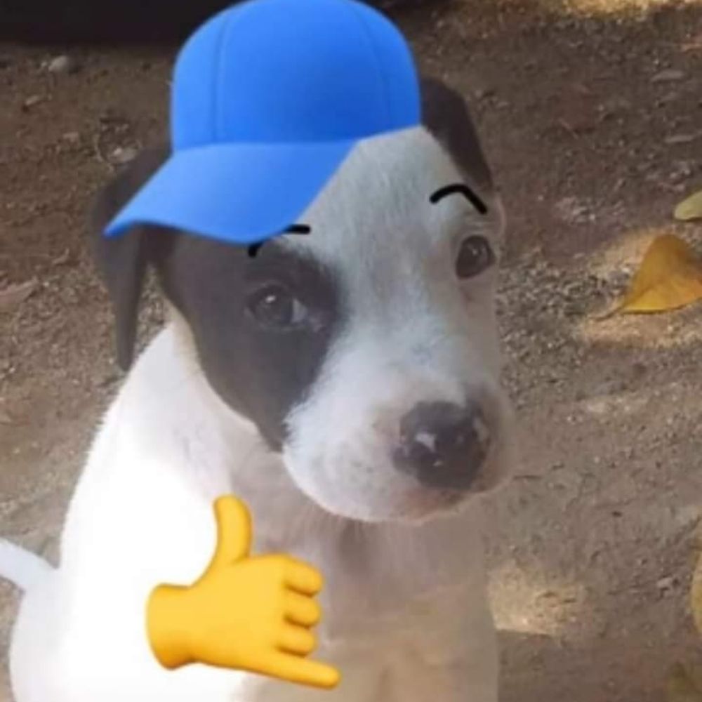 Ash