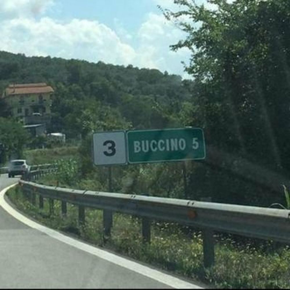 FlavioBuccino