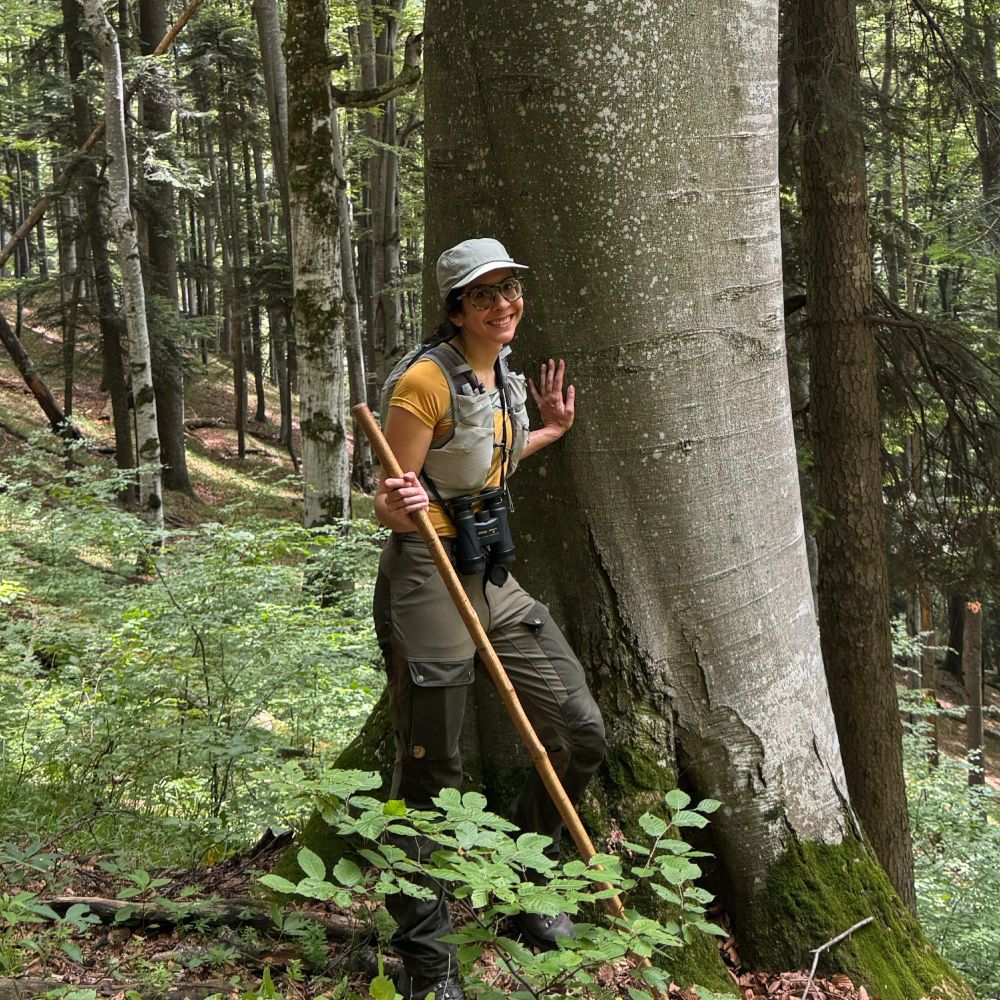 Katharina Albrich