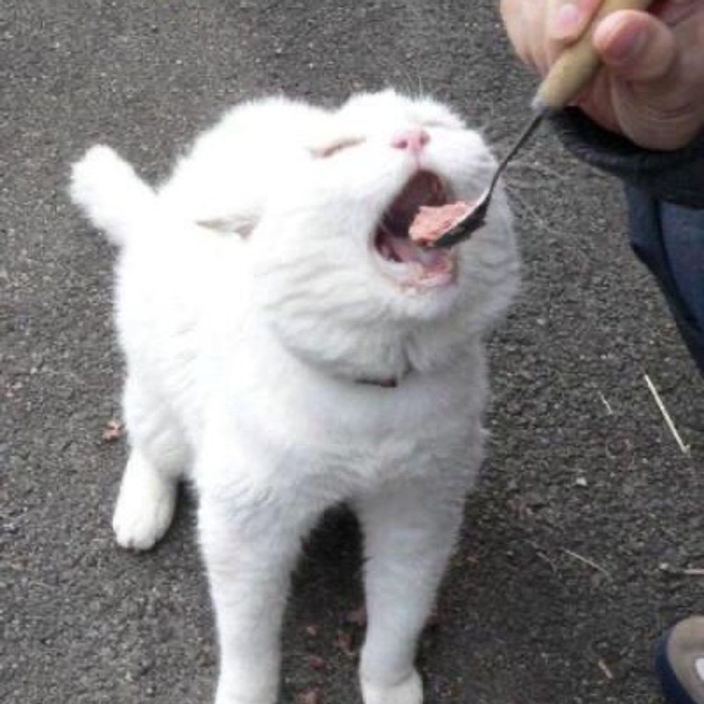 한입만