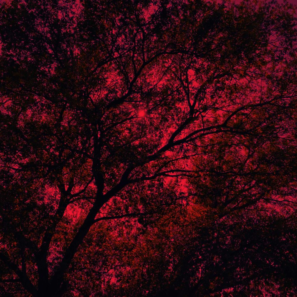 🫀𝕹𝖔 𝕳𝖊𝖆𝖗𝖙🫀