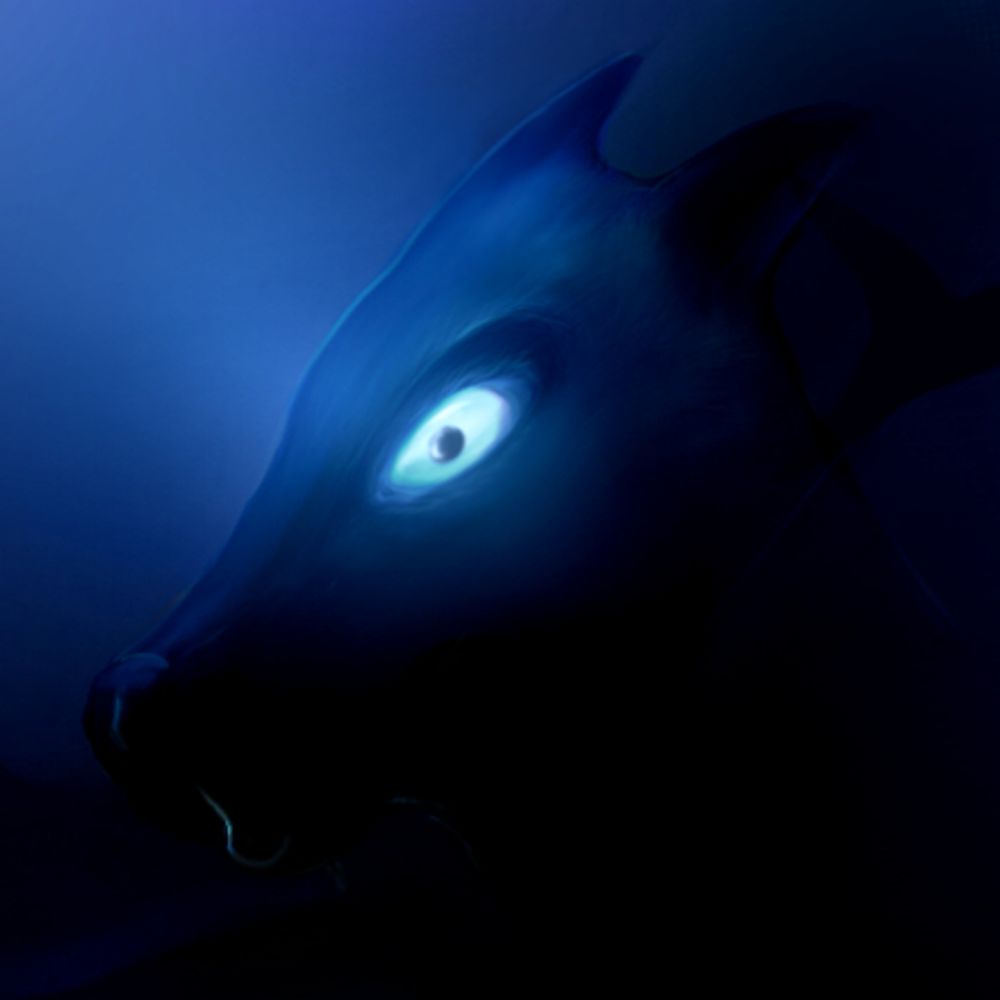 NightDrawr