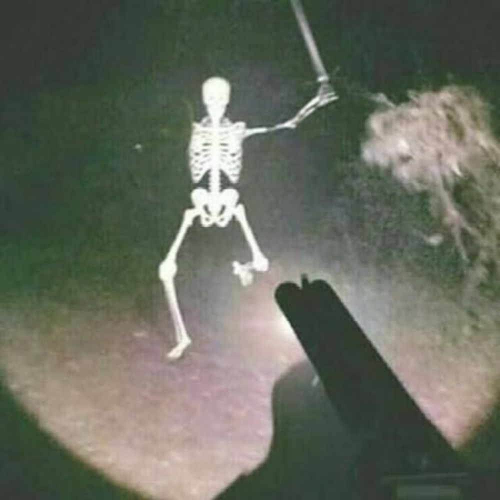 해초