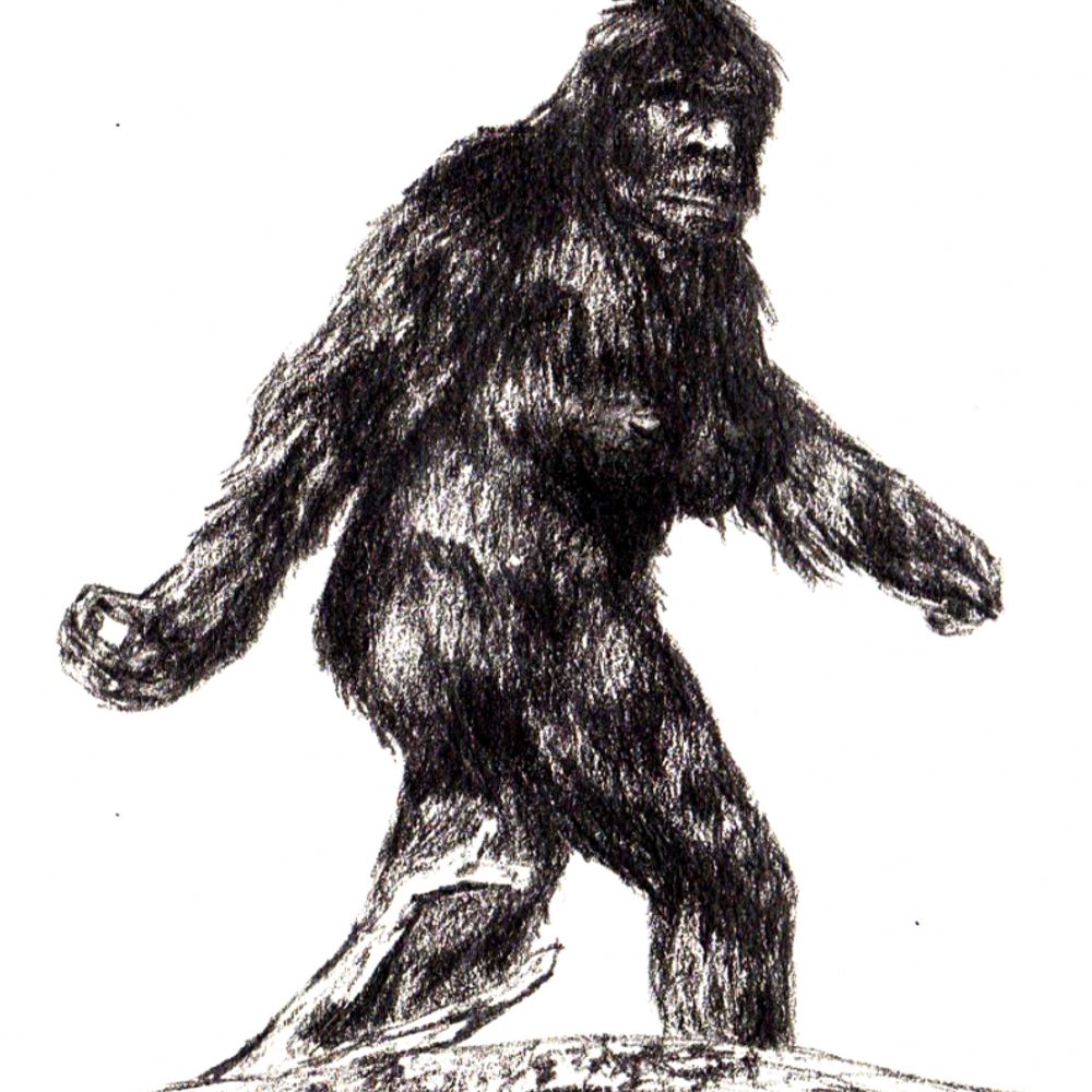 SuperSquatch