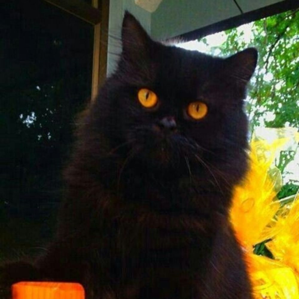 Salem