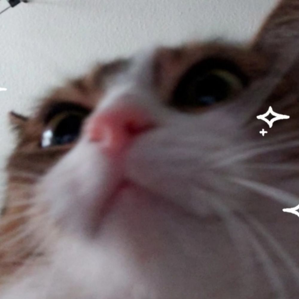Kibo