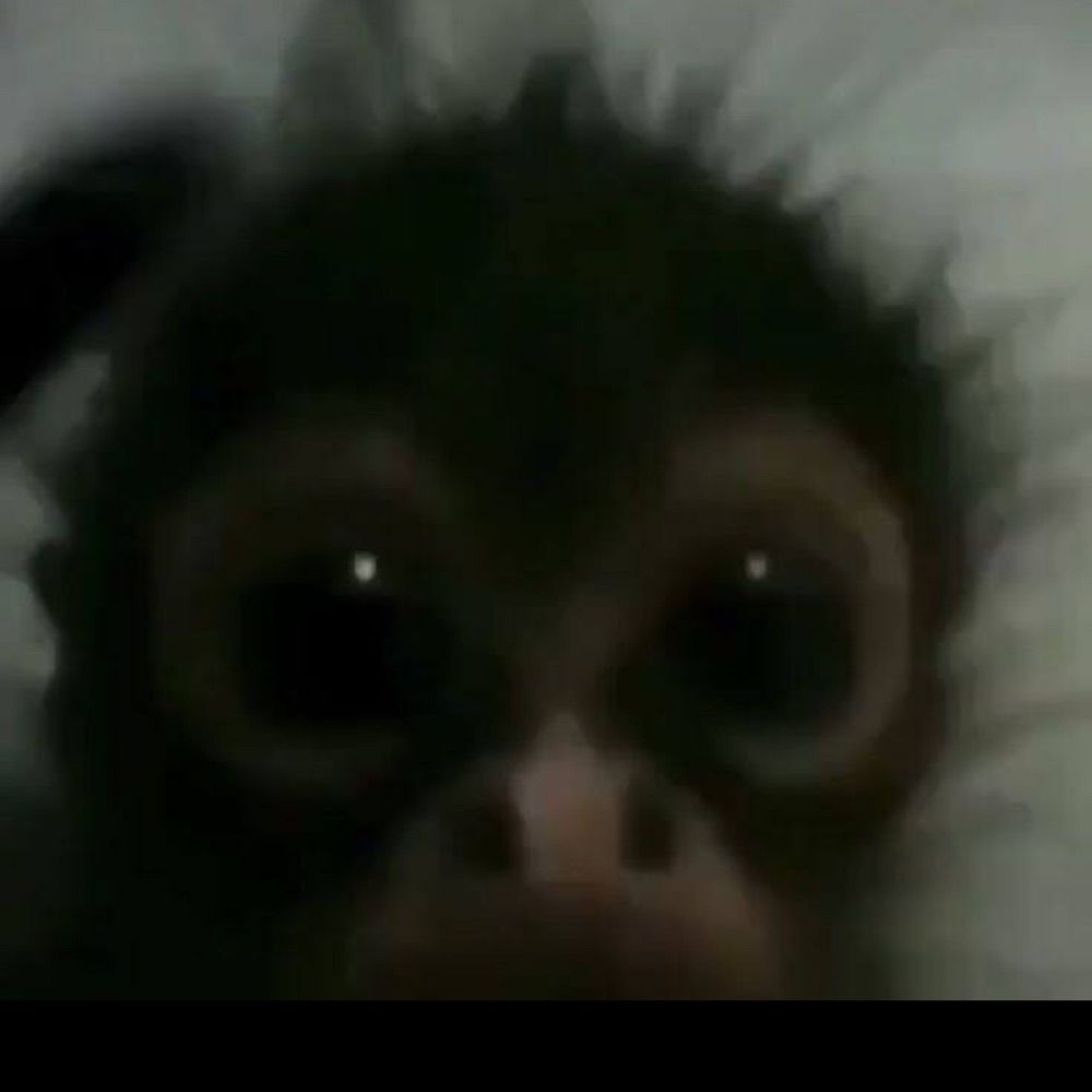 biaaargggggg