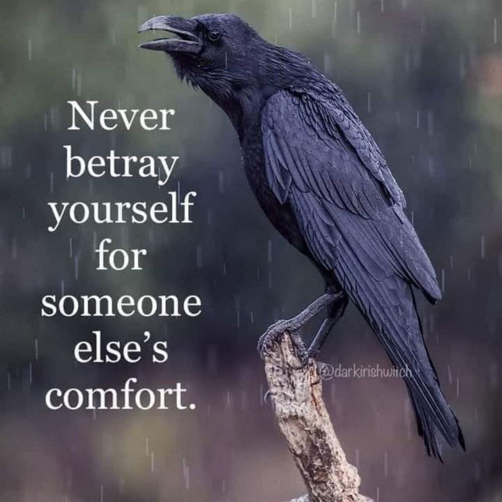 Liz Raven