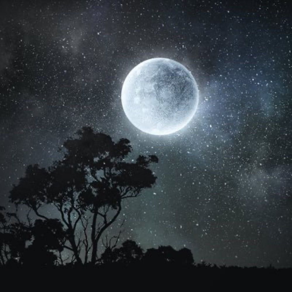 Moonie ^^