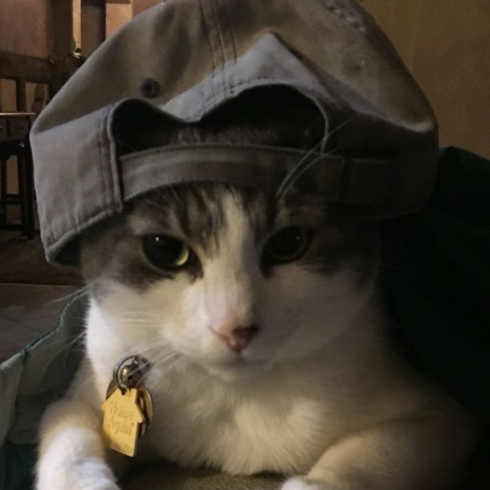 𝙋.