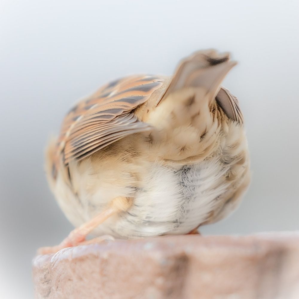 みなみ
