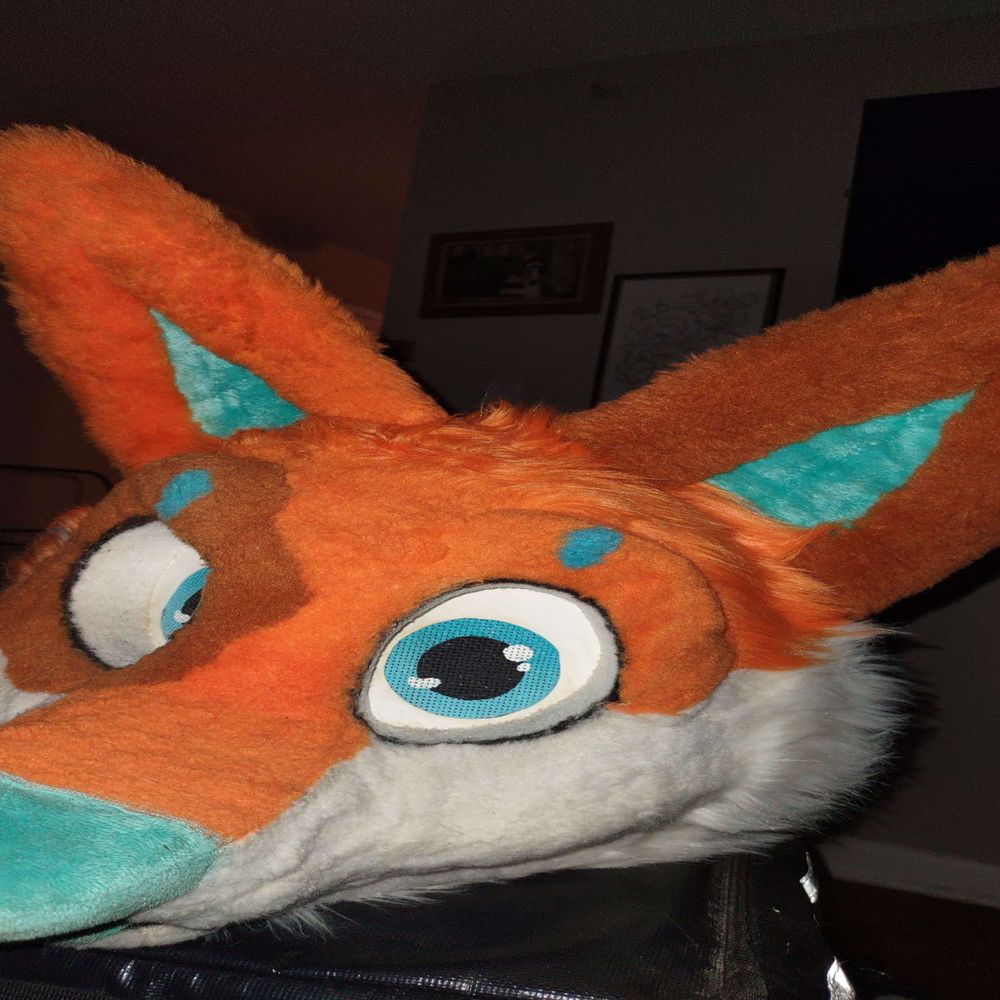 Starburst fox