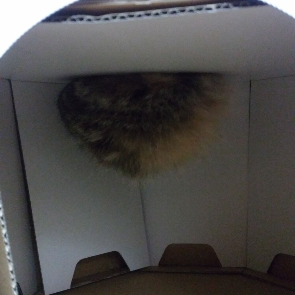 まちかん