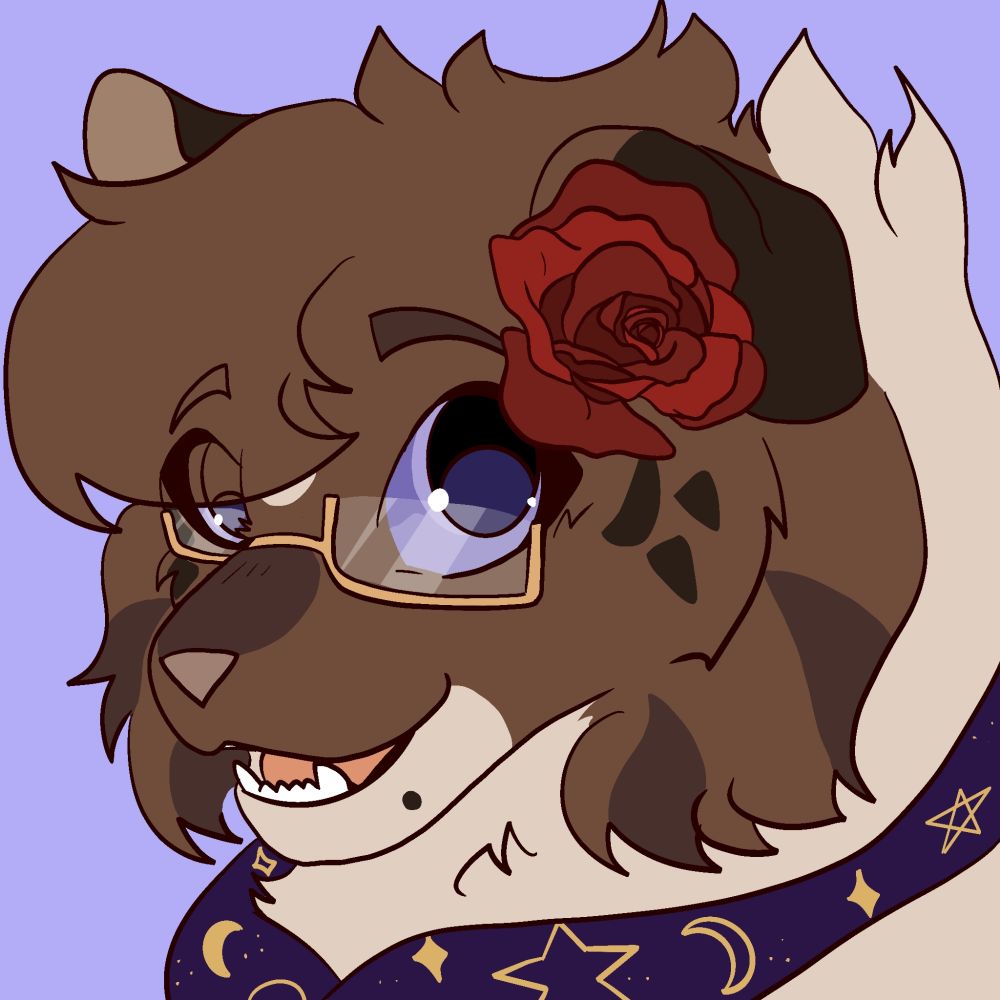 ☾ willow ☽