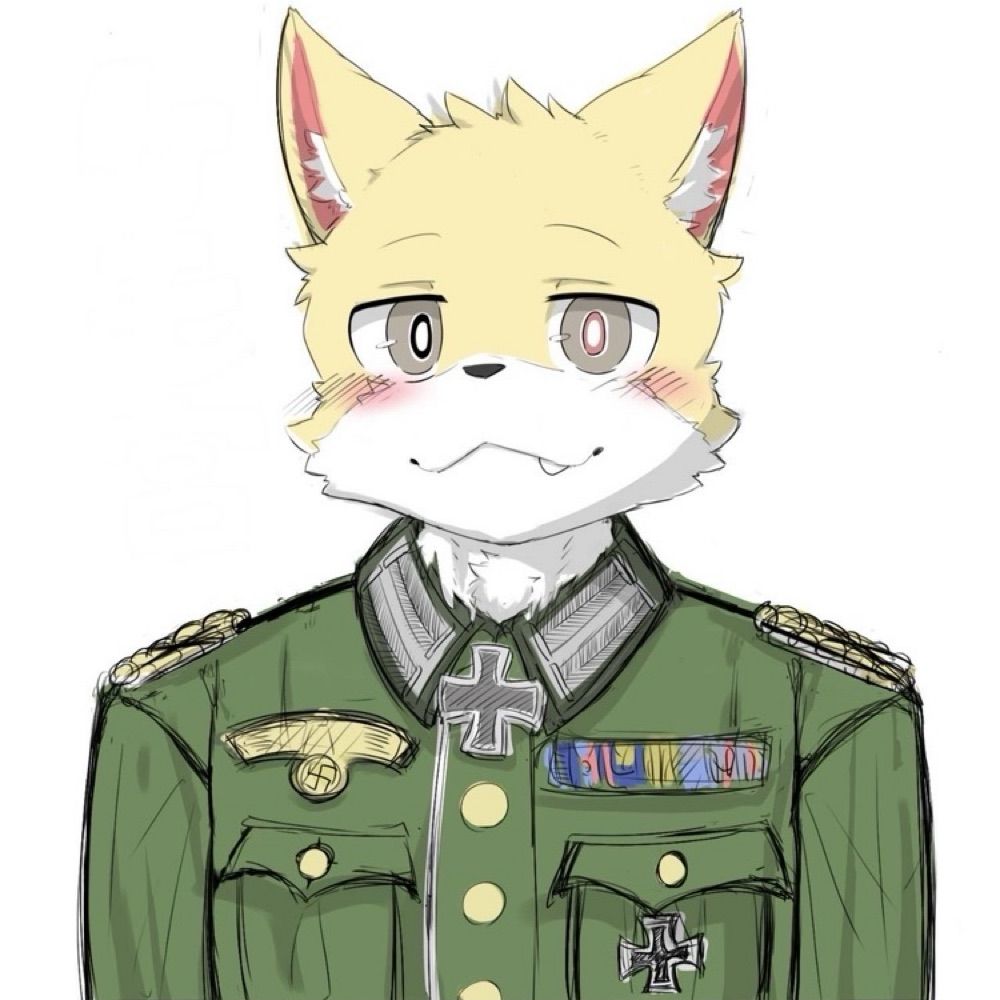 ケモ宮