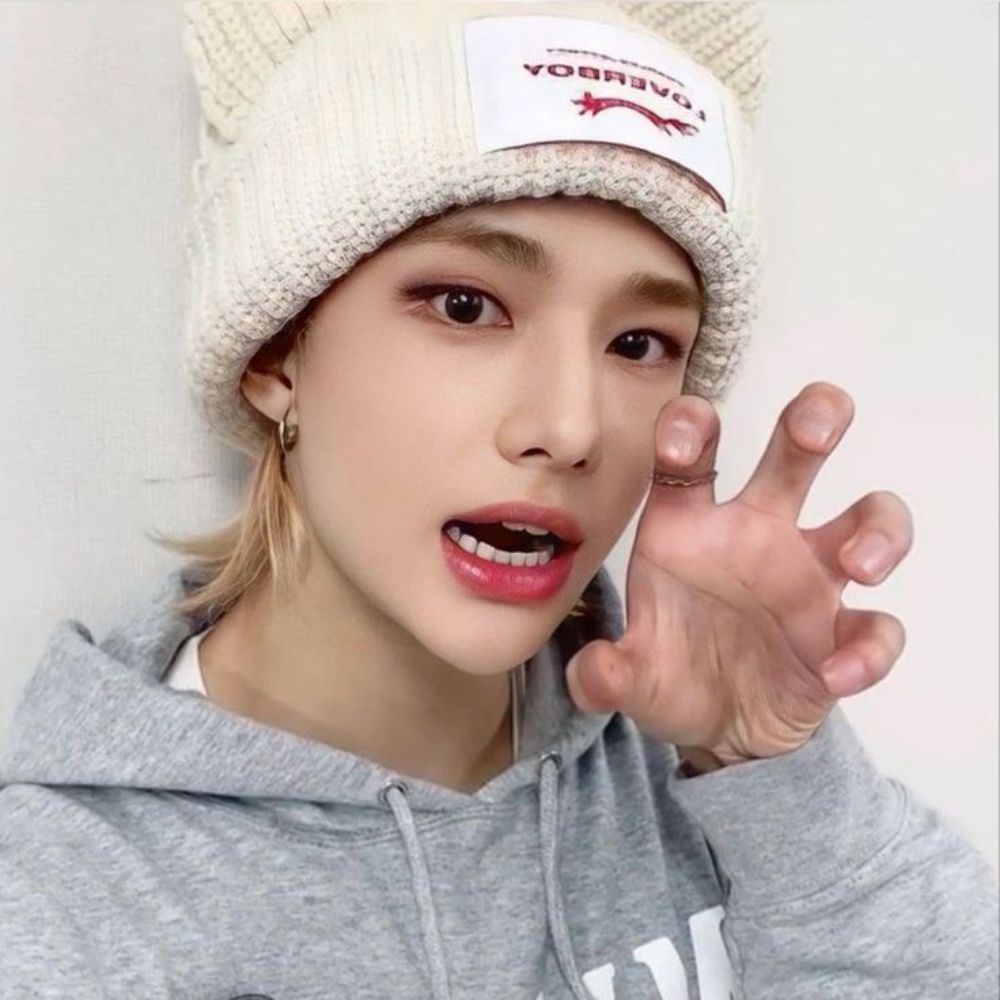  Rindo com o SKZ ✦