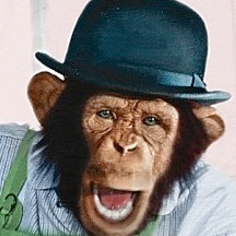 Mr Shifter