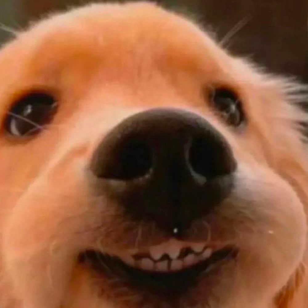와와