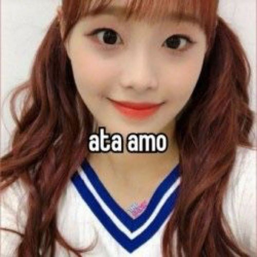 Aphonsynha 