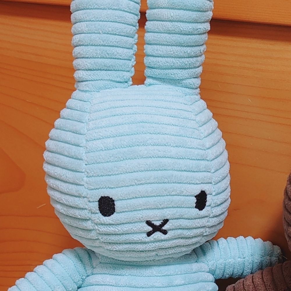 🐰