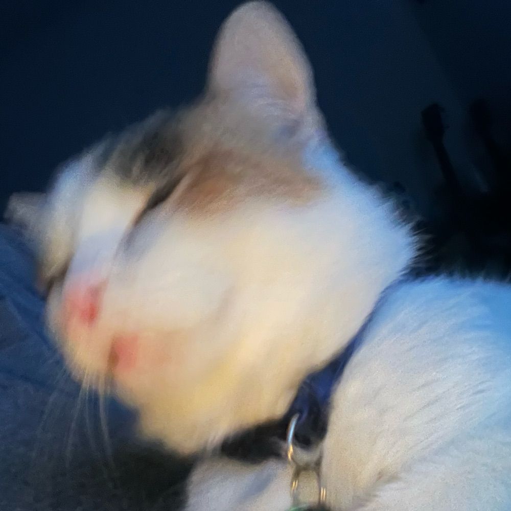 Ben