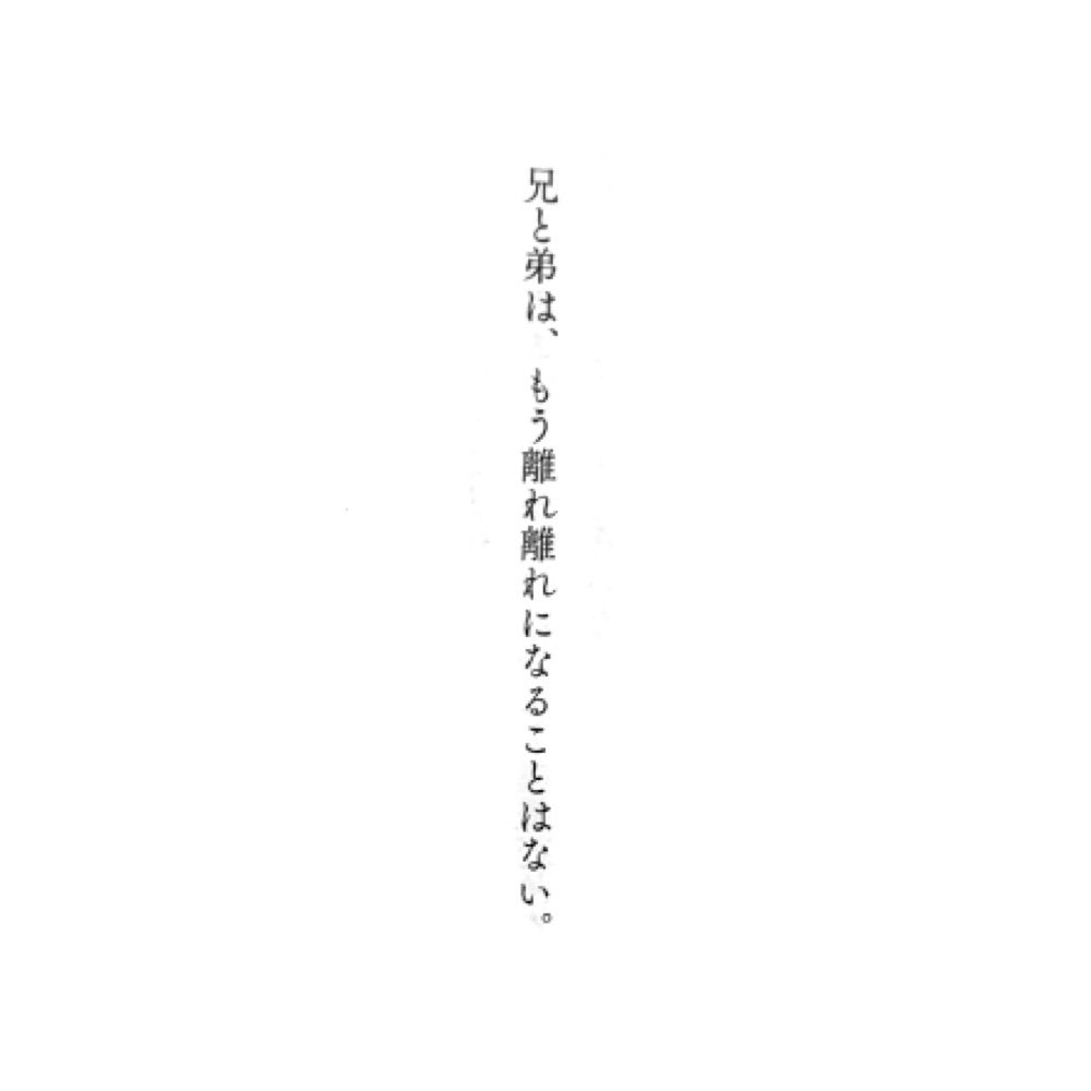 雑食
