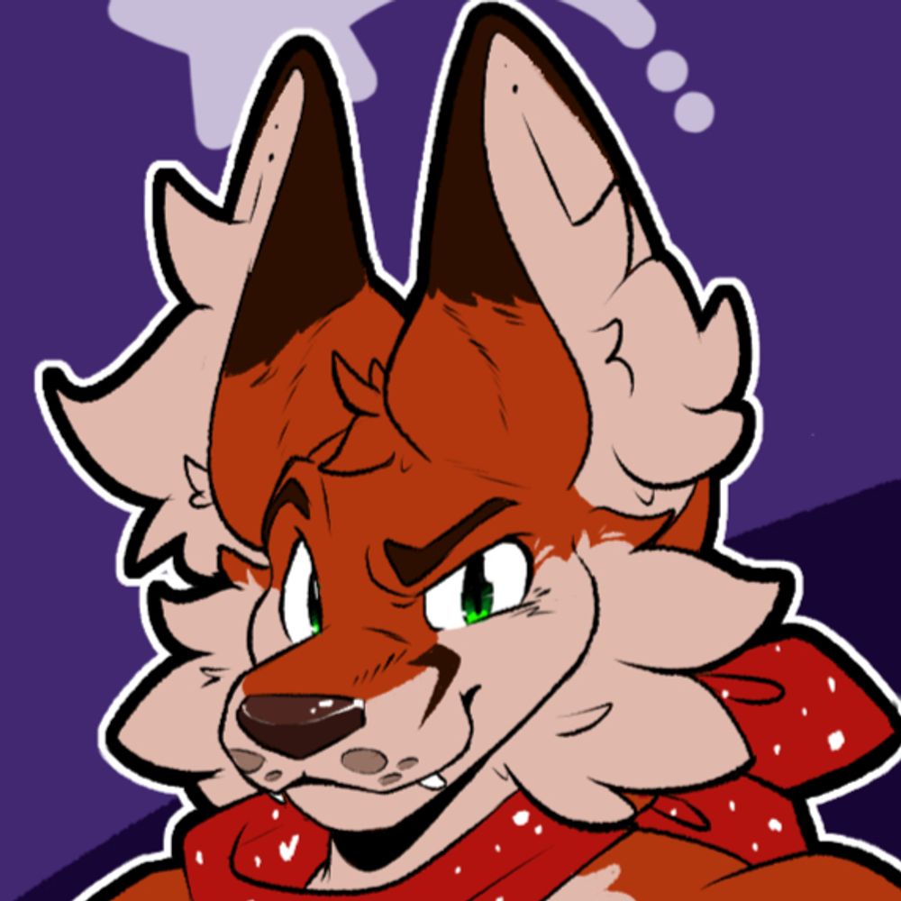 Wondering Red Fox