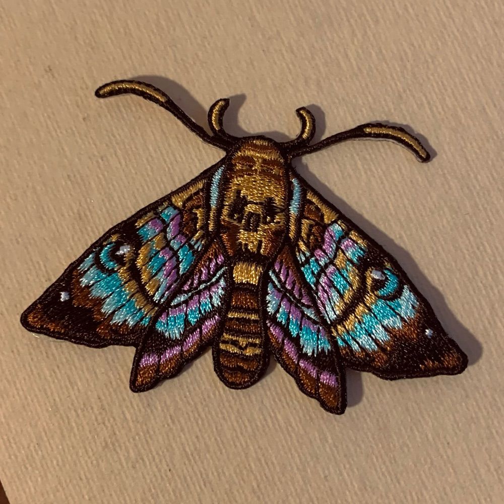 Silver Moth