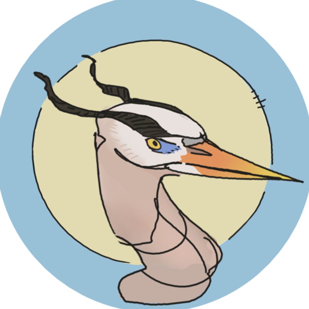 Heron 💛 💙