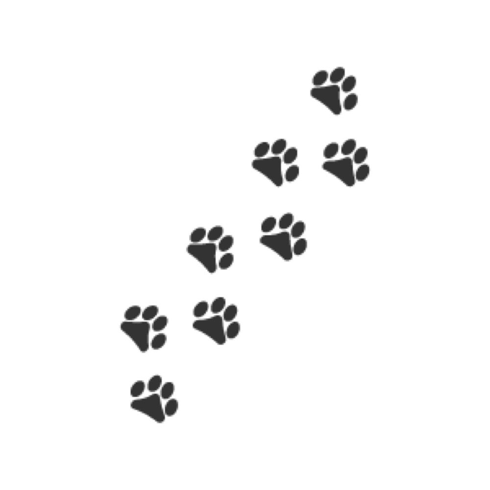 ことは