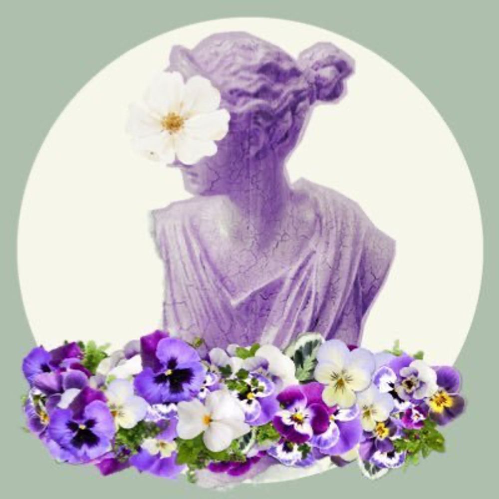 森　のどか
