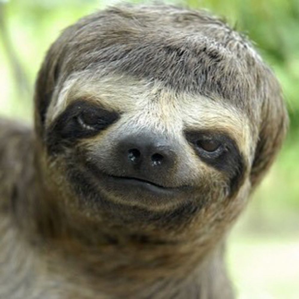 beneluxist.bsky.social profile picture