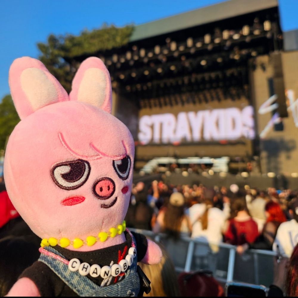 Ansu ◇ seeing SKZ in July ♡