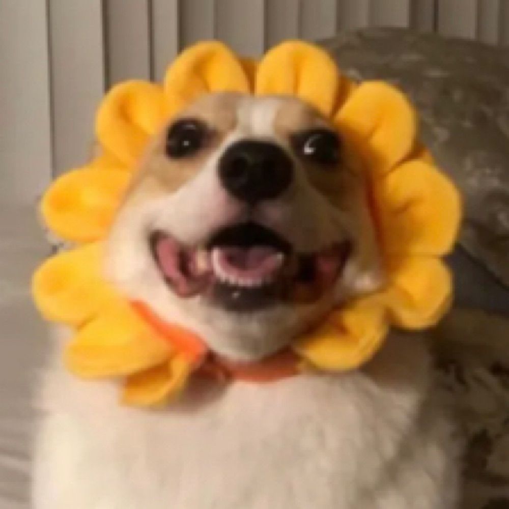 naomeaache