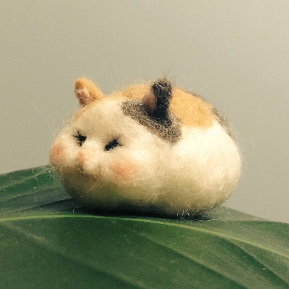 サンラーちゃん